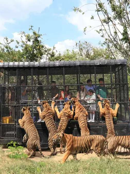 Những vườn thú đáng trải nghiệm tại Thái Lan