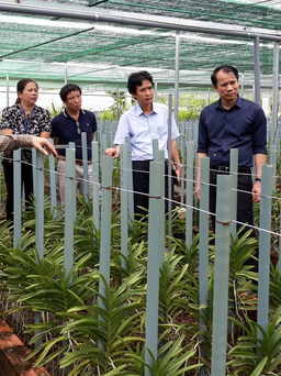 Đà Nẵng hỗ trợ đến 2 tỉ đồng cho mỗi dự án nông nghiệp công nghệ cao