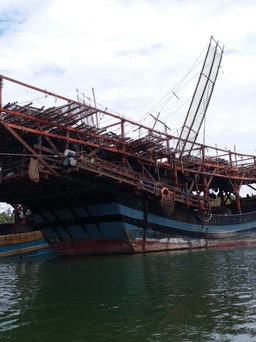 Tàu cá Quảng Ngãi bị hỏng máy thả trôi trên biển đã về bờ an toàn