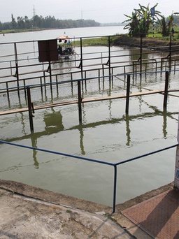 Lo thiếu nước, Đà Nẵng đề nghị thủy điện xả nước để chạy trạm bơm phòng mặn