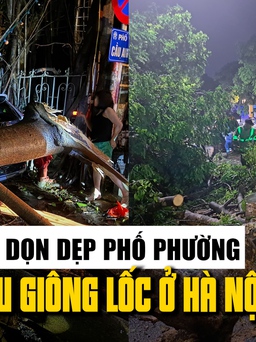 Xuyên đêm dọn dẹp phố phường sau trận giông lốc khiến cây ngã đổ khắp Hà Nội