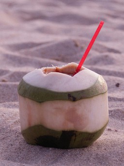 Nắng nóng, có nên uống nước dừa thay nước lọc?