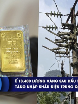 CHUYỂN ĐỘNG KINH TẾ ngày 24.4: Ế 13.400 lượng vàng sau đấu thầu | Tăng nhập khẩu điện Trung Quốc