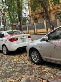 Hàng loạt ô tô bị tạt sơn ở Hà Nội, xử lý được không?