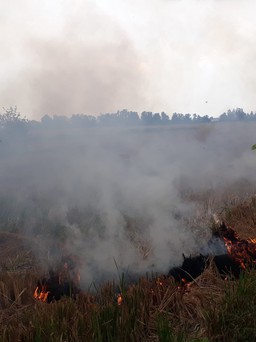 Bạc Liêu: Người đàn ông tử vong vì ngạt khói khi đốt rơm rạ ngoài đồng