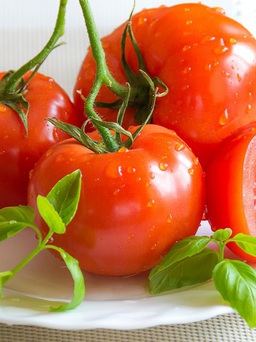Những ai cần tránh ăn cà chua?