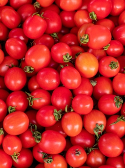 Ngày mới với tin tức sức khỏe: Bệnh gì cần hạn chế ăn cà chua?