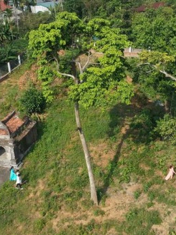 Cho phép khai quật khảo cổ di tích Tháp đôi Liễu Cốc tại Thừa Thiên-Huế