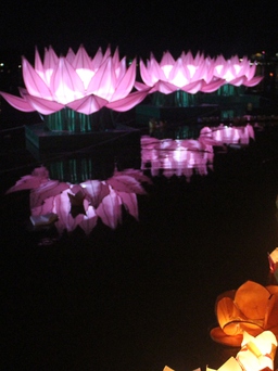 Đại lễ Phật đản 2024 tại Huế: Kiểm soát chặt chẽ hoạt động phóng sinh