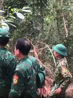 Quảng Bình: Phối hợp với quân đội Lào truy tìm nghi phạm giết người bỏ trốn