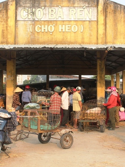 Những ngôi chợ độc đáo: Chợ 'bồng heo'