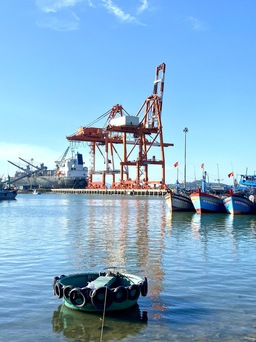 Hàng loạt tàu cá Bình Định mất kết nối thiết bị giám sát hành trình
