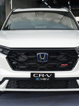 Ô tô hybrid tại Việt Nam vẫn hút khách bất chấp sức mua giảm