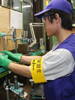 Đề xuất Nhật Bản tiếp nhận lao động Việt trong 2 lĩnh vực