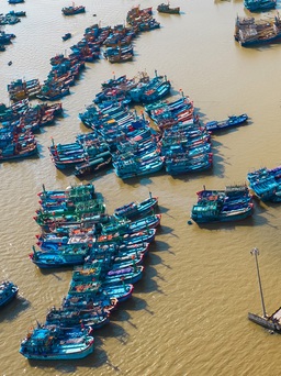 Di dời toàn bộ tàu neo đậu tại cảng cá Quy Nhơn về đầm Đề Gi