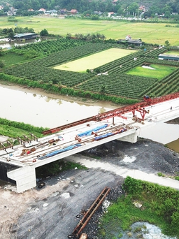 Quảng Ninh giám sát chặt tiến độ gói thầu của Tập đoàn Thuận An