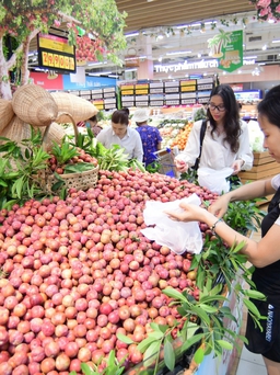 Hơn 10 tấn mận hậu được tiêu thụ trong một ngày tại các siêu thị Saigon Co.op