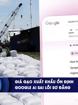 CHUYỂN ĐỘNG KINH TẾ ngày 27.5: Giá gạo xuất khẩu ổn định | Google AI sai lỗi sơ đẳng