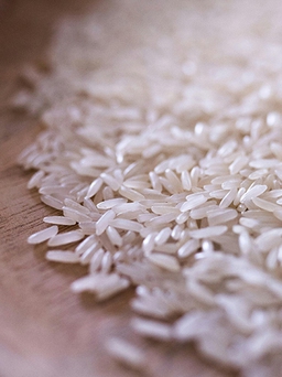 Lưu ý gì khi vo gạo để hạn chế mất chất dinh dưỡng?