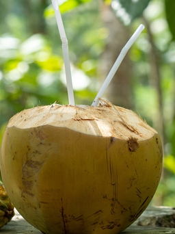 Ngày mới với tin tức sức khỏe: Lợi ích khi uống nước dừa vào sáng sớm