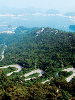 Thư thả cho mắt hưởng trọn màu xanh tại công viên, vườn quốc gia này của Hàn Quốc