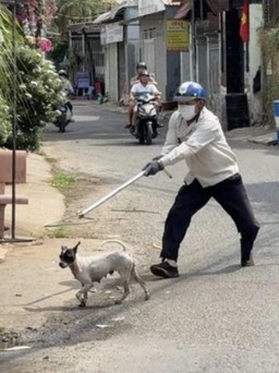 Bệnh dại đang ‘nóng’, Đắk Nông chỉ đạo các địa phương thành lập đội bắt chó, mèo
