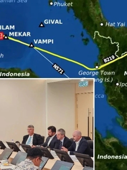 Trở lại tìm kiếm máy bay mất tích MH370 vào tháng 11