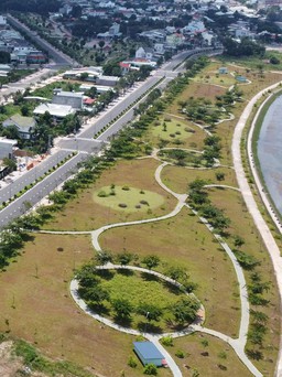 Bộ Công an đề nghị Đồng Nai, Bình Phước cung cấp hồ sơ liên quan Công ty Cây xanh Công Minh