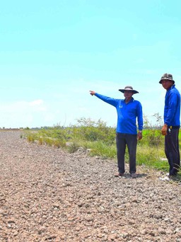Dân bỏ sạ 180 ha lúa để phản đối giá bơm nước quá cao