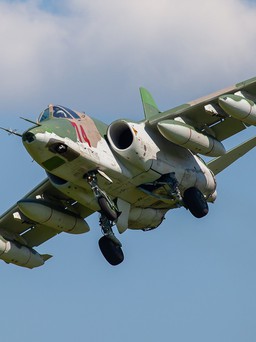 Ukraine đã phóng đại thành tích diệt Su-25 Nga?