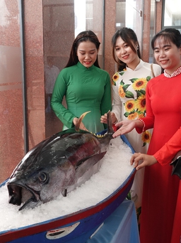 Nhiều đầu bếp nổi tiếng thế giới sẽ trổ tài chế biến cá ngừ đại dương ở Bình Định