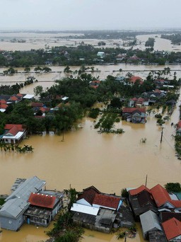 Cần hành động vì một tương lai xanh mang 'tinh thần Việt Nam'