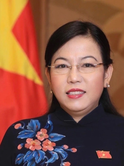 Bà Nguyễn Thanh Hải làm Trưởng ban Công tác đại biểu