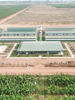 THACO AGRI đầu tư cơ sở vật chất, chăm lo đời sống người lao động