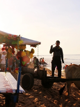 Lên xe bò khám phá chợ cá bên biển La Gi