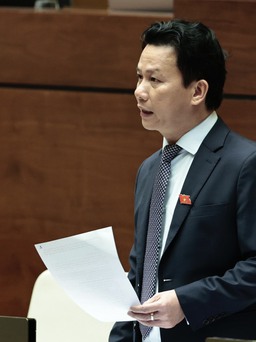 Bộ trưởng Đặng Quốc Khánh: 'Cát biển tốt nhất nên dùng ở vùng đã nhiễm mặn'