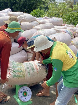 Gạo Việt Nam vẫn 'vô đối' tại Philippines