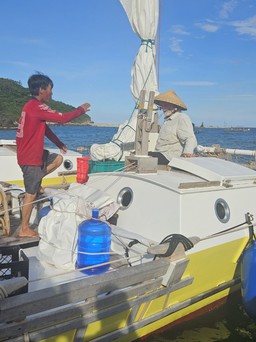 Ngư dân Quảng Ngãi hỗ trợ du khách Mỹ bị hỏng thuyền buồm trên biển
