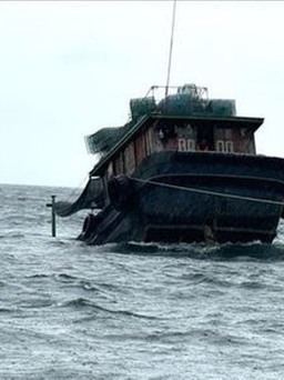 Cứu 3 ngư dân gặp nạn trên biển