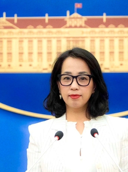 Việt Nam lên tiếng về khả năng tham gia hội nghị hòa bình Ukraine