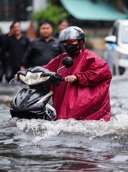 Nước ngập hơn nửa mét ở phố 'nhà giàu' Thảo Điền sau mưa: Tây, ta cùng lội nước 
