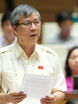 Đại biểu Quốc hội Nguyễn Anh Trí đề xuất '12 tuổi phải chịu trách nhiệm hình sự'