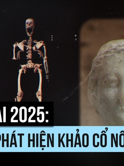 Nhìn lại 2025: Những phát hiện khảo cổ nổi bật