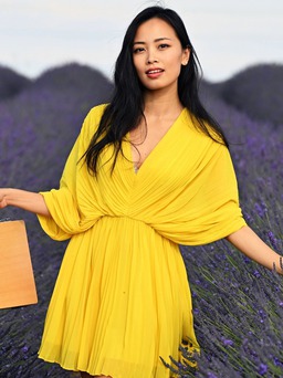 Gam màu trái cây khuấy đảo thời trang số