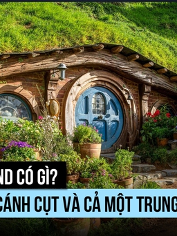 New Zealand có gì? Kiwi, chim cánh cụt và cả một Trung Địa