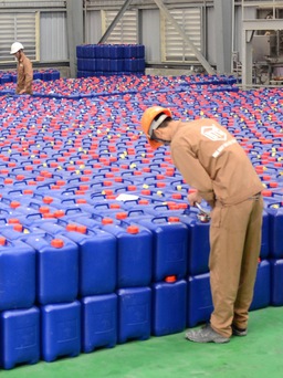 Cổ phiếu hóa chất Đức Giang bị bán tháo sau khi Chủ tịch bị bắt