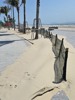 Vì sao dự án ngàn tỉ ở Bãi Sau của Vũng Tàu bị cát biển phủ kín?