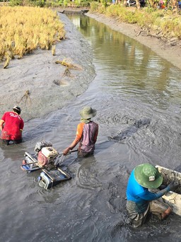 Cà Mau chuyển đổi 88 ha đất lúa sang cây trồng và nuôi thủy sản