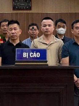 Trùm giang hồ Mạnh 'gỗ' lo lót cho gỗ lậu từ Lào về Việt Nam