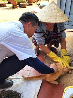 Đắk Lắk khẩn trương phòng, chống bệnh dại